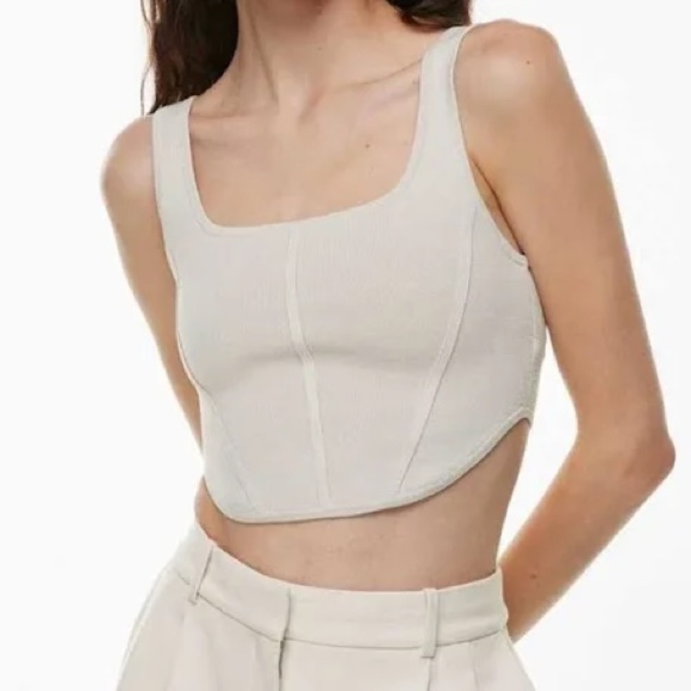 Babaton Aritzia Sculpt Knit Bustier Tank